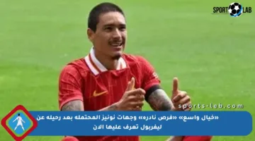 «خيال واسع» «فرص نادرة» وجهات نونيز المحتملة بعد رحيله عن ليفربول تعرف عليها الآن